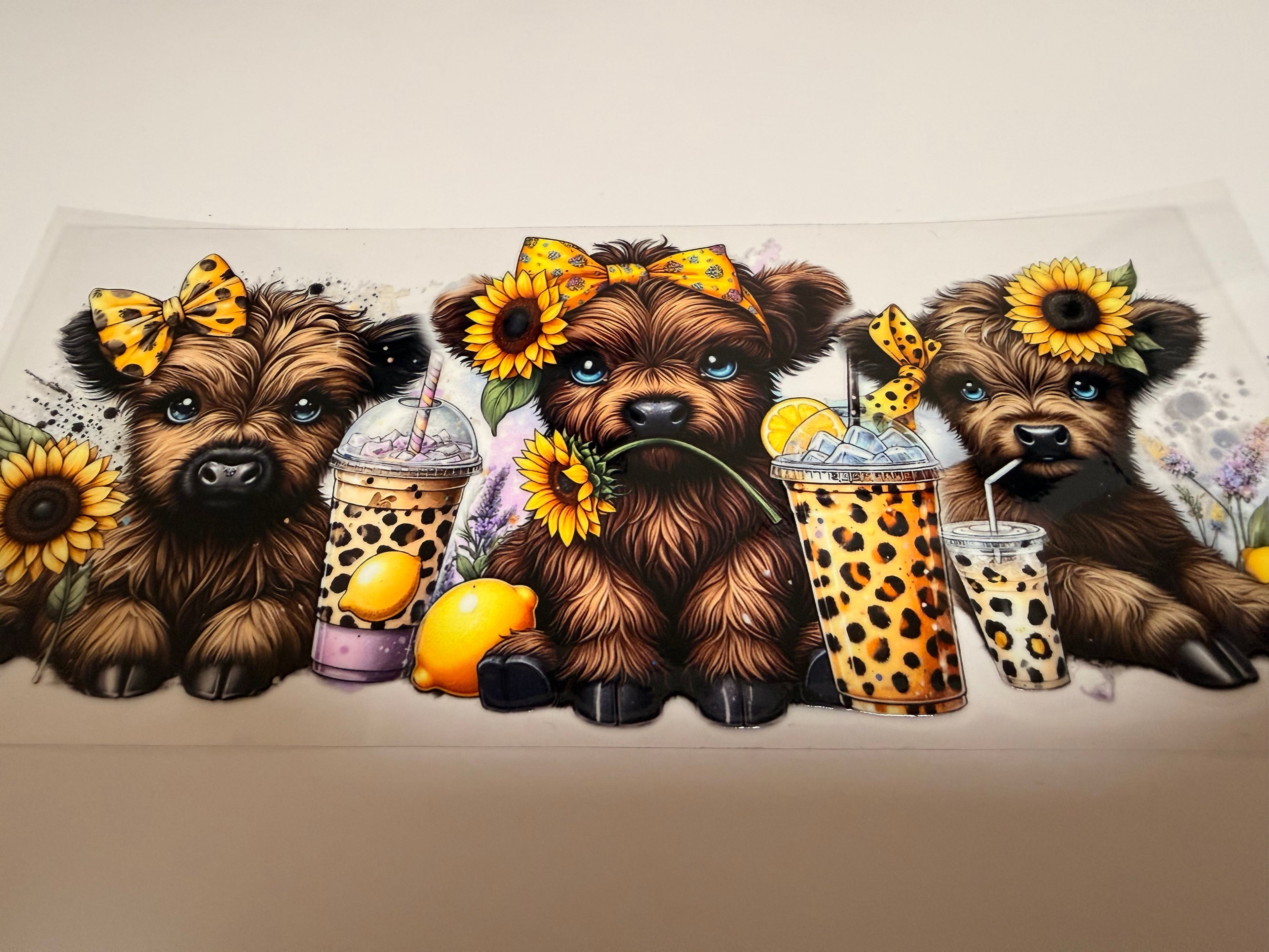 Highland Cow 16oz Wrap