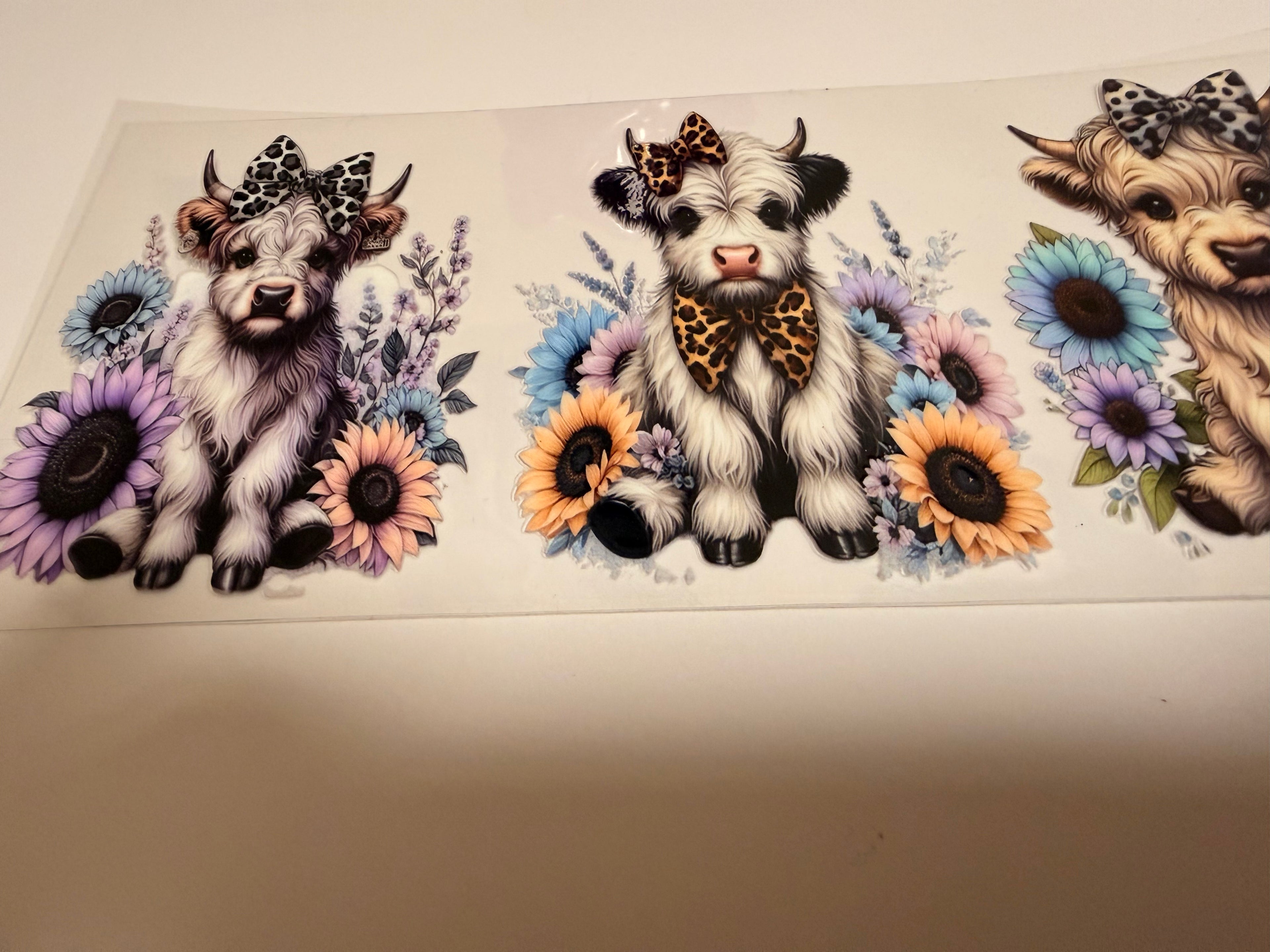 Highland Cow 16oz Wrap