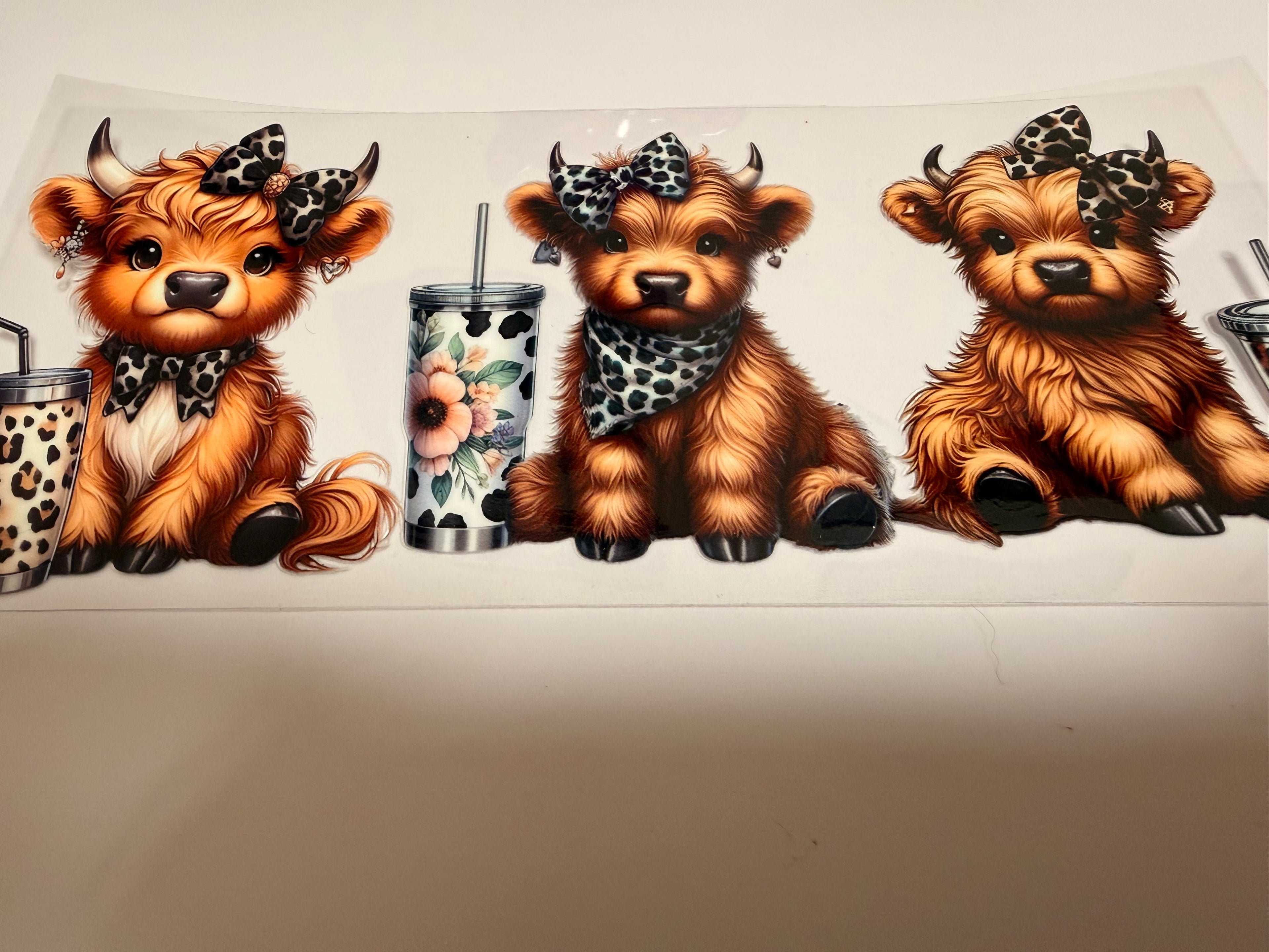 Highland Cow 16oz Wrap