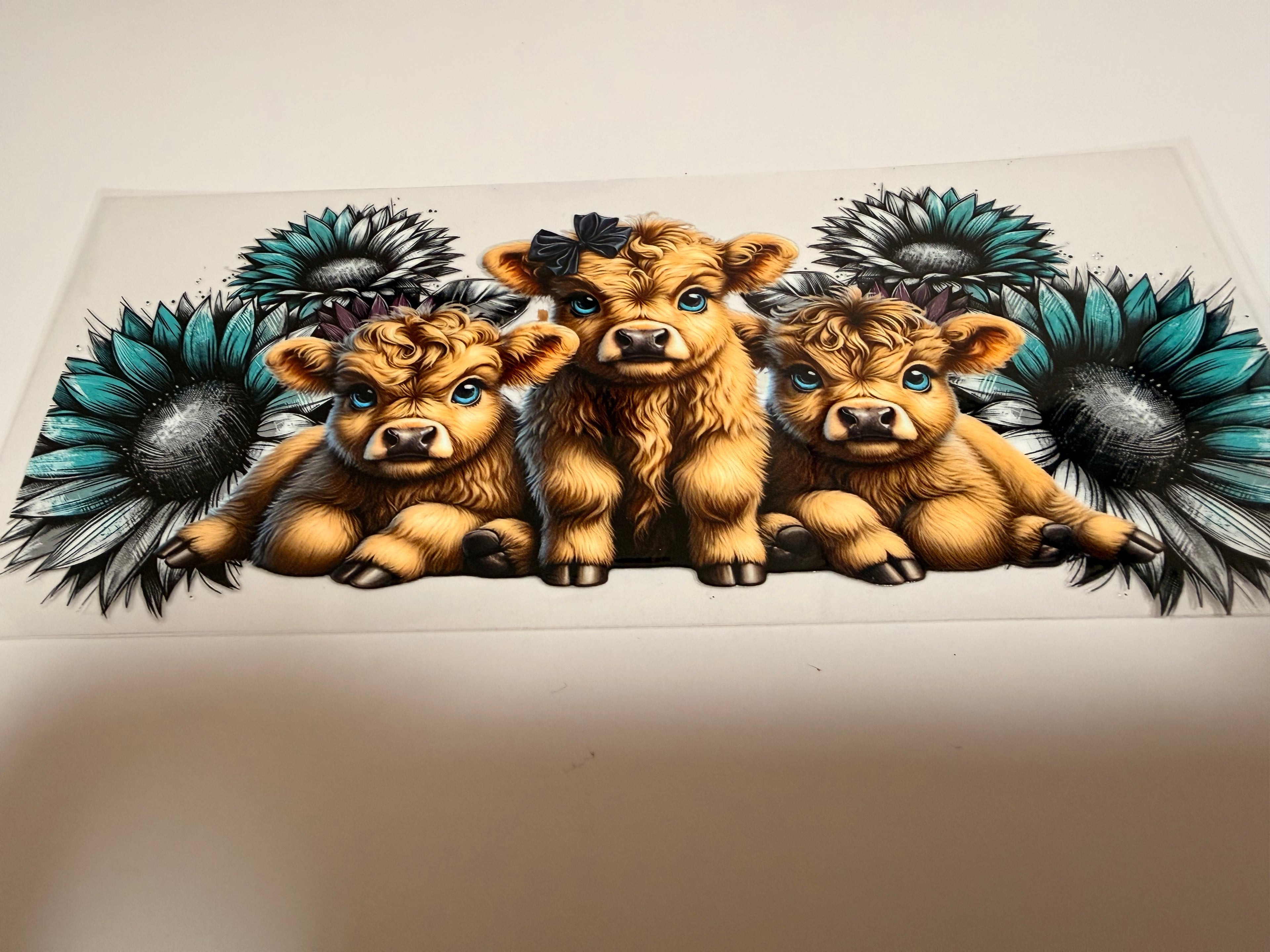 Highland Cow 16oz Wrap